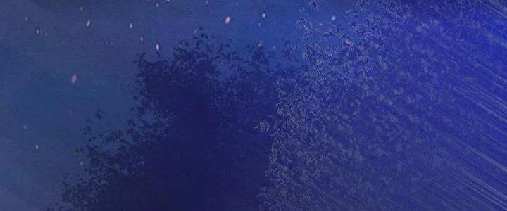 Trường Sinh Đạo Chapter 74 - 74