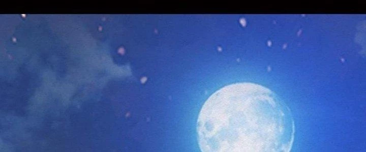 Trường Sinh Đạo Chapter 76 - 7