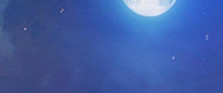 Trường Sinh Đạo Chapter 76 - 8