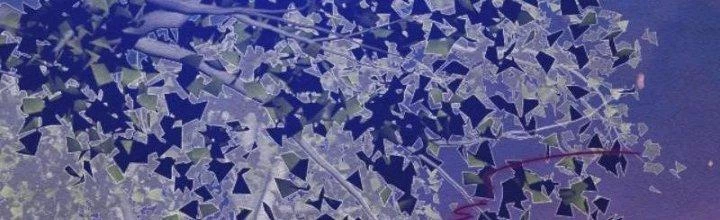 Trường Sinh Đạo Chapter 79 - 9