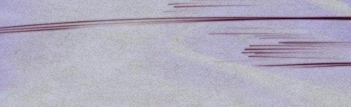 Trường Sinh Đạo Chapter 80 - 81