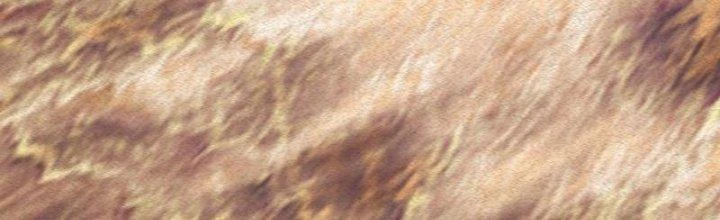 Trường Sinh Đạo Chapter 82 - 9