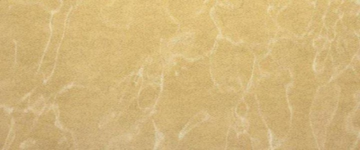 Trường Sinh Đạo Chapter 83 - 8