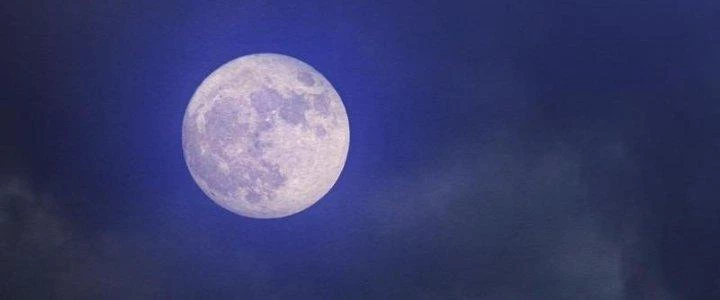 Trường Sinh Đạo Chapter 101 - 64
