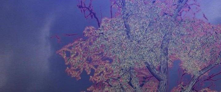 Trường Sinh Đạo Chapter 101 - 67