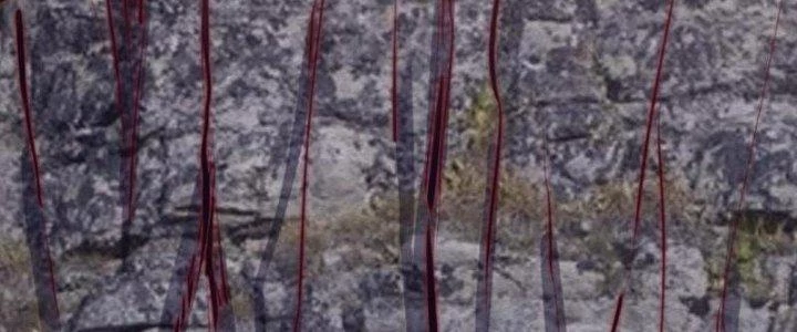 Trường Sinh Đạo Chapter 103 - 119