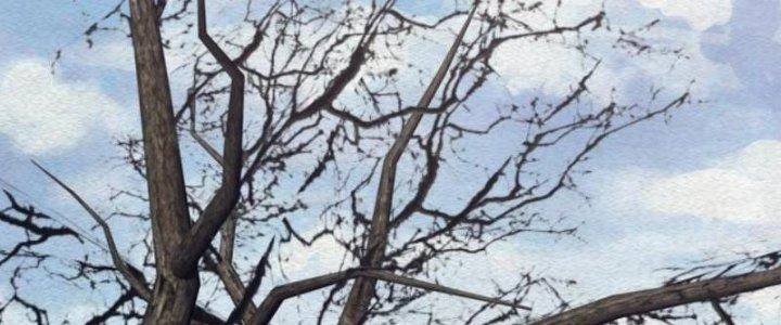 Trường Sinh Đạo Chapter 106 - 70