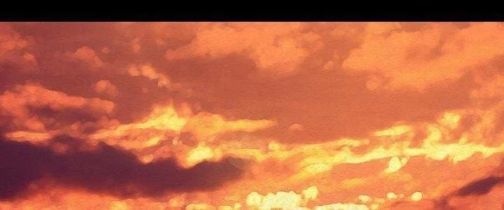 Trường Sinh Đạo Chapter 108 - 44