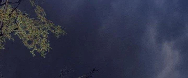 Trường Sinh Đạo Chapter 110 - 128