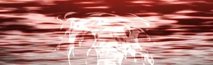 Chí Tôn Hoàn Mỹ Chapter 27 - 193