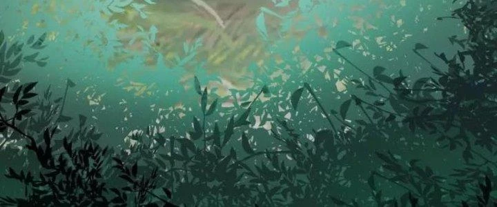 Chí Tôn Hoàn Mỹ Chapter 31 - 59