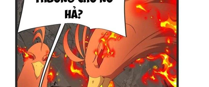 Chí Tôn Hoàn Mỹ Chapter 49 - 176