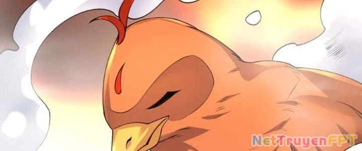 Chí Tôn Hoàn Mỹ Chapter 51 - 40