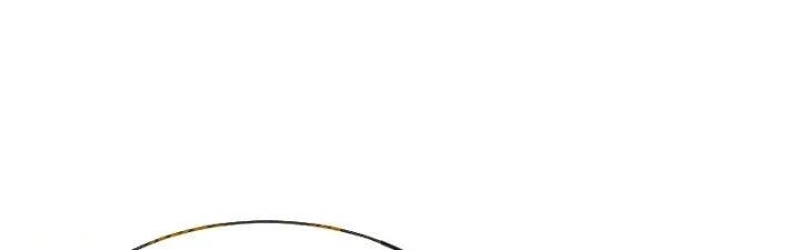 Chí Tôn Hoàn Mỹ Chapter 62 - 29