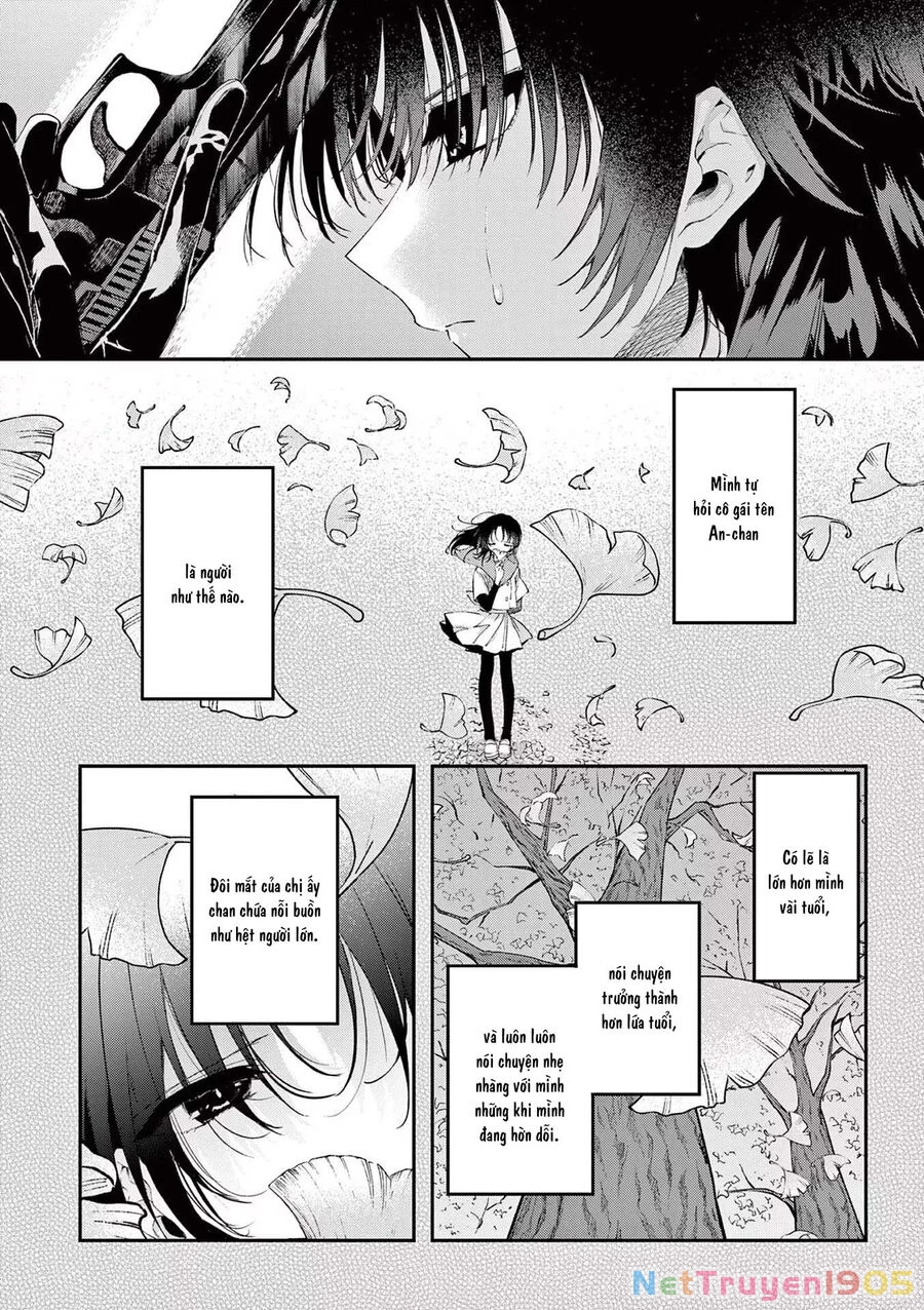 Kimi Wa Meido-Sama Chapter 50 - 5