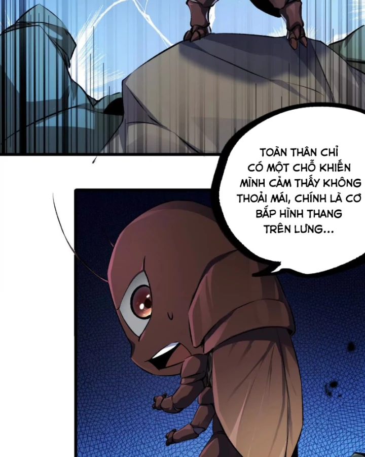 Mạt Thế Cẩu Sinh: Gián Giúp Ta Chồng Buff Chapter 2 - 6