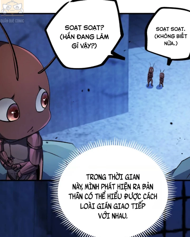 Mạt Thế Cẩu Sinh: Gián Giúp Ta Chồng Buff Chapter 2 - 30