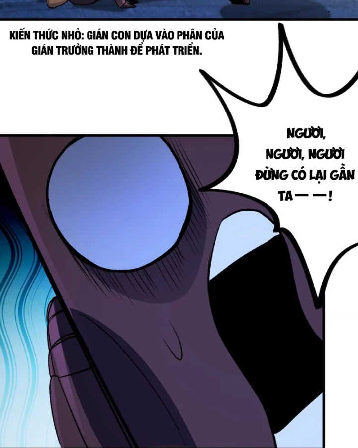 Mạt Thế Cẩu Sinh: Gián Giúp Ta Chồng Buff Chapter 2 - 37