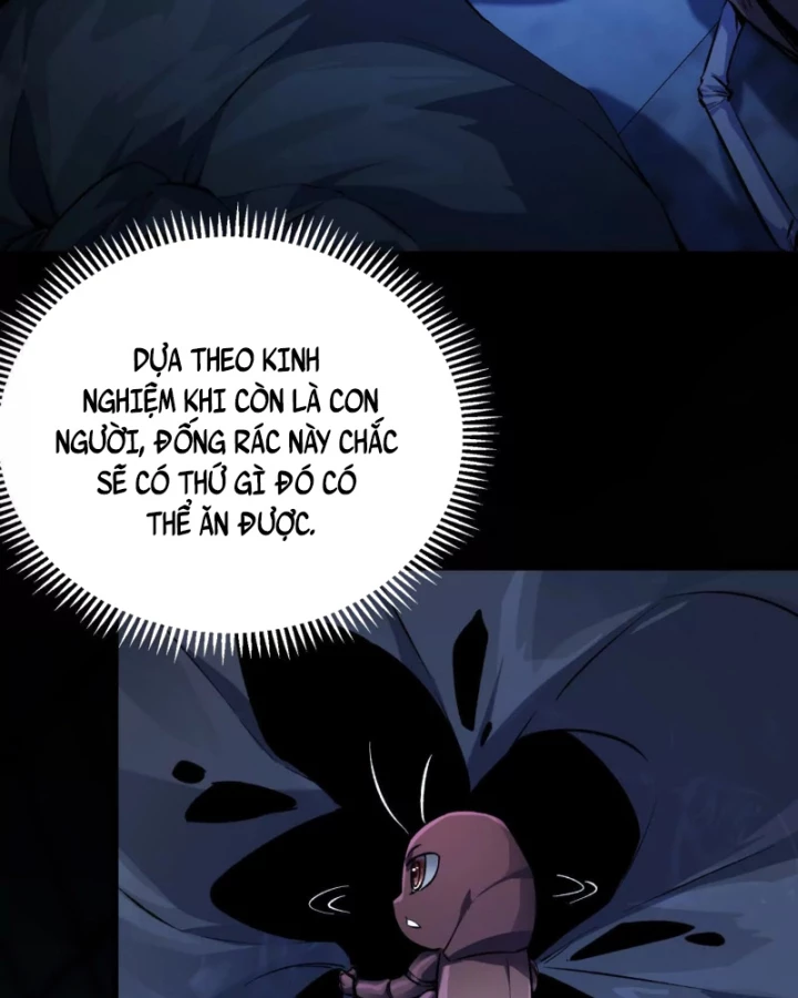 Mạt Thế Cẩu Sinh: Gián Giúp Ta Chồng Buff Chapter 2 - 50