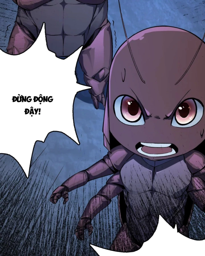 Mạt Thế Cẩu Sinh: Gián Giúp Ta Chồng Buff Chapter 2 - 186