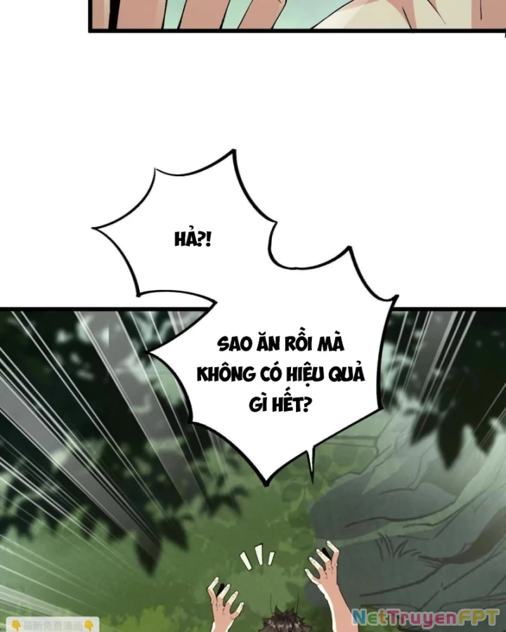 Mạt Thế Cẩu Sinh: Gián Giúp Ta Chồng Buff Chapter 21 - 33
