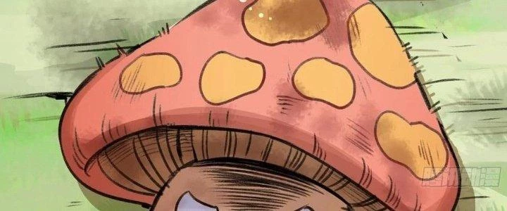 Dũng Sĩ Nấm Chapter 5 - 146