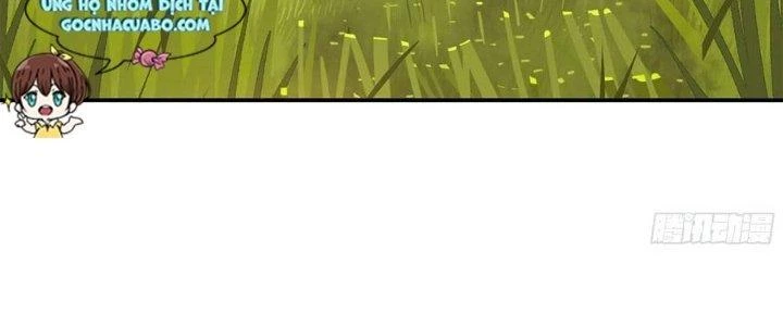 Dũng Sĩ Nấm Chapter 12 - 223