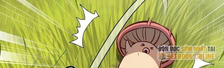 Dũng Sĩ Nấm Chapter 13 - 141
