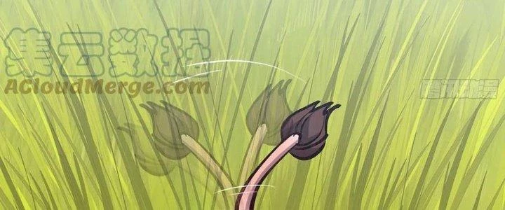 Dũng Sĩ Nấm Chapter 13 - 148