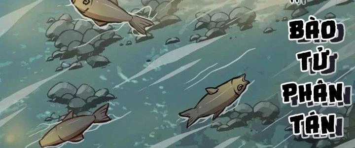 Dũng Sĩ Nấm Chapter 14 - 10