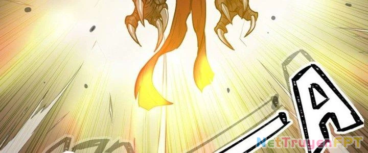 Dũng Sĩ Nấm Chapter 20 - 168