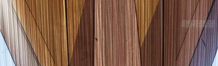 Dũng Sĩ Nấm Chapter 28 - 53