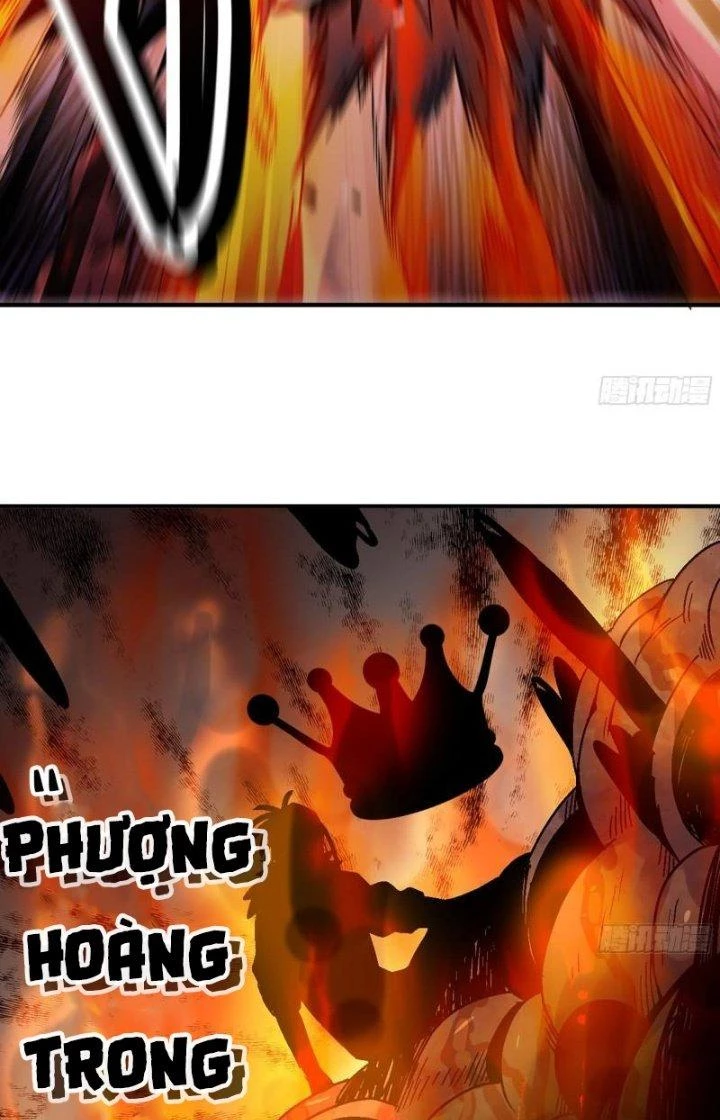 Dũng Sĩ Nấm Chapter 41 - 80