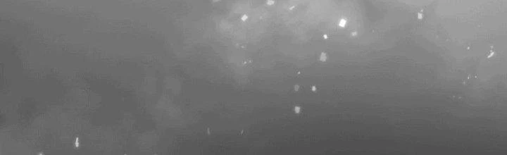 Tinh Môn Chapter 9 - 93