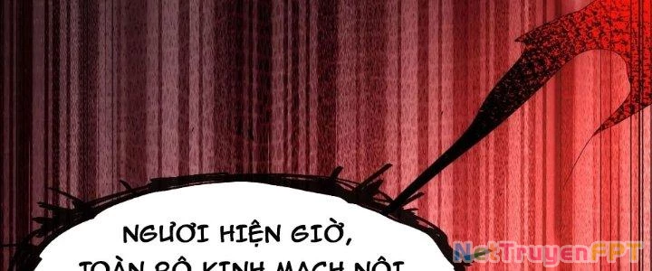 Tinh Môn Chapter 63 - 260