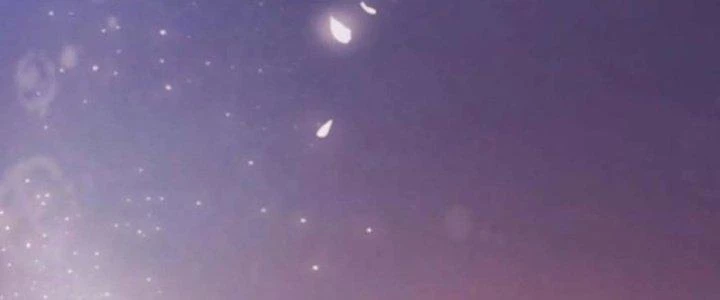 Ta Liều Mạng Mạnh Lên Chapter 6 - 200