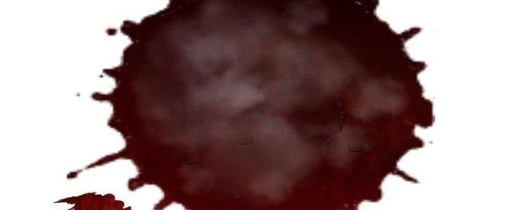 Ta Liều Mạng Mạnh Lên Chapter 14 - 62