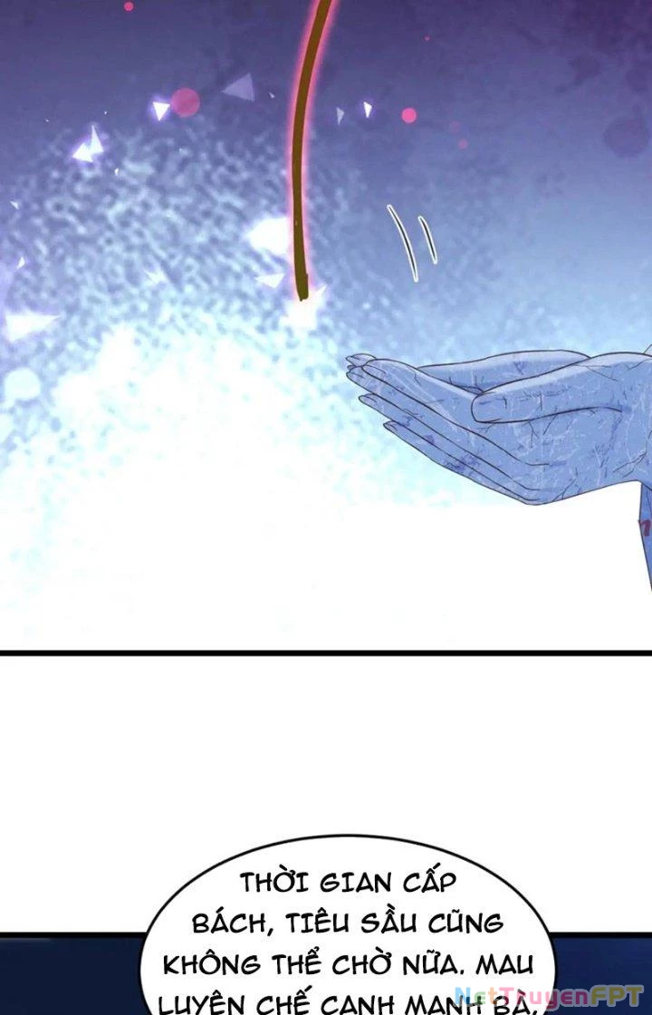 Trước Khi Vô Địch Ta Nợ Tình Quá Nhiều Chapter 122 - 2