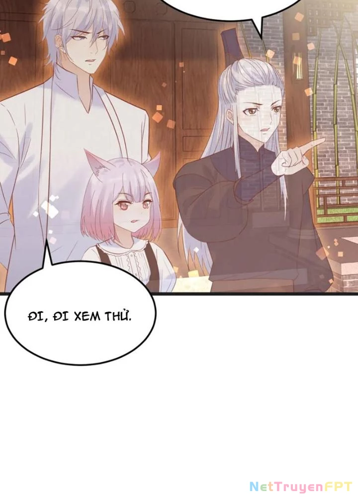 Trước Khi Vô Địch Ta Nợ Tình Quá Nhiều Chapter 135 - 61