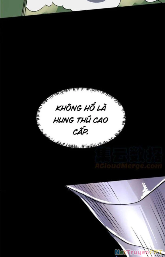 Tử Giới, Thức Tỉnh Tài Năng Hạng SSS Chapter 39.1 - 29