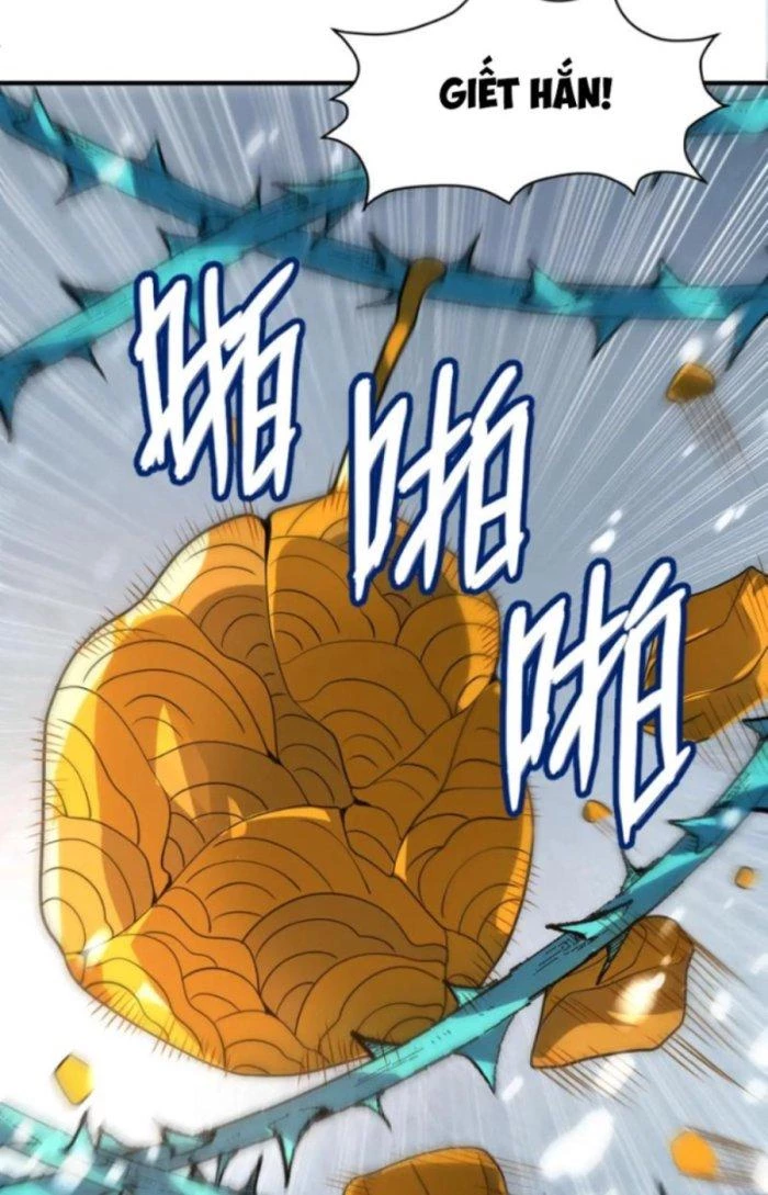 Tử Giới, Thức Tỉnh Tài Năng Hạng SSS Chapter 49.1 - 40