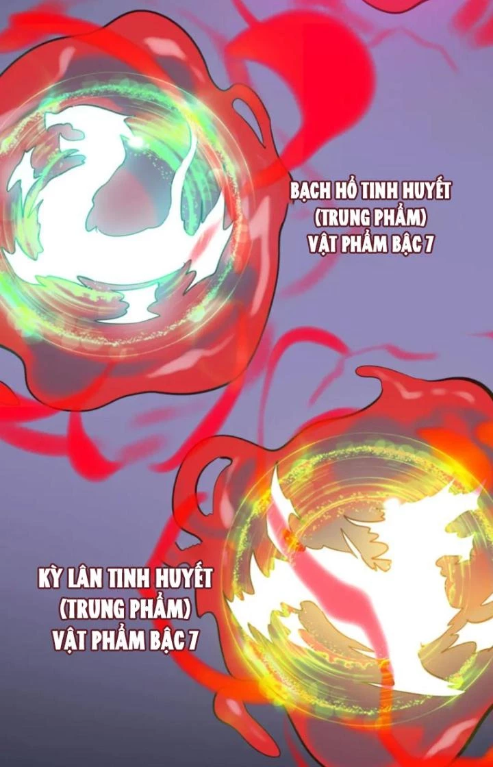 Tử Giới, Thức Tỉnh Tài Năng Hạng SSS Chapter 89 - 78