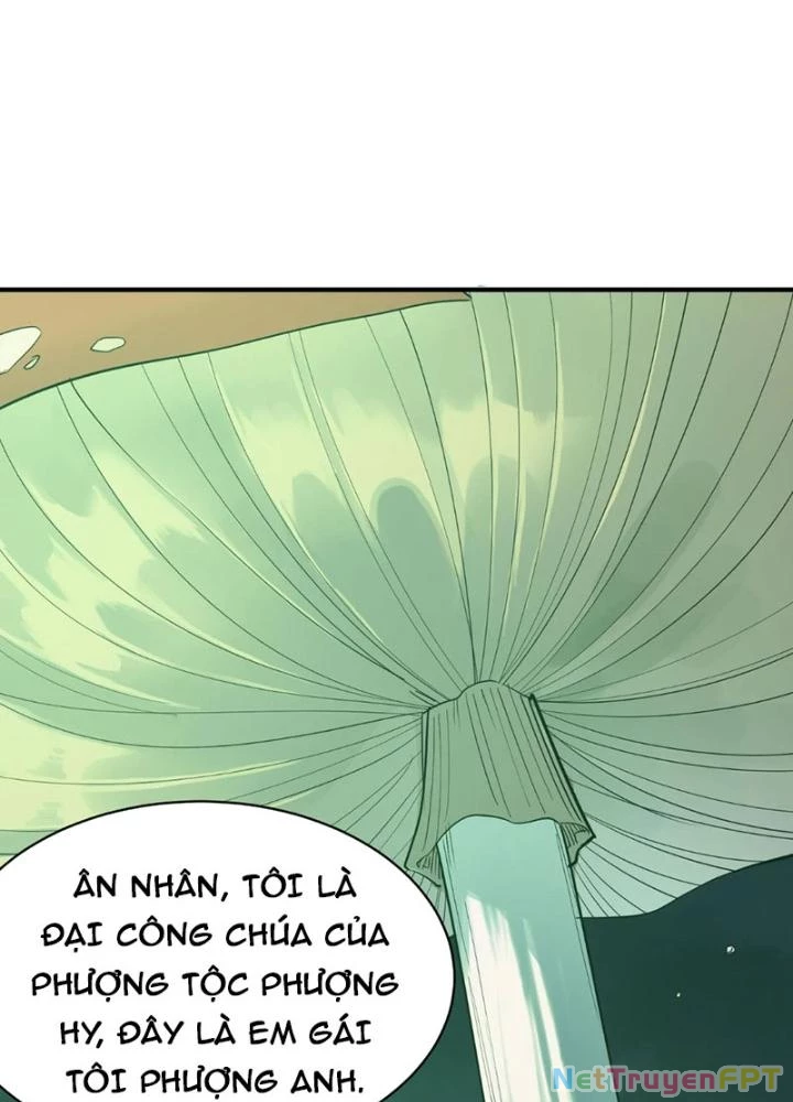Tử Giới, Thức Tỉnh Tài Năng Hạng SSS Chapter 95 - 167