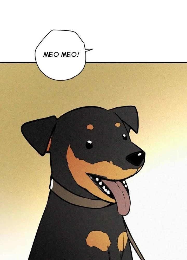 Tôi Bị Boss Đánh Cho Tơi Tả Chapter 28 - 39