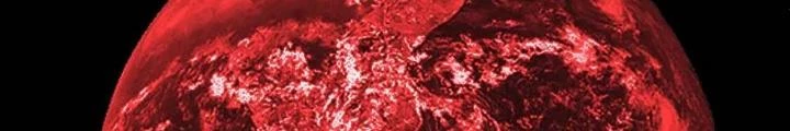 Tôi Bị Boss Đánh Cho Tơi Tả Chapter 45 - 42