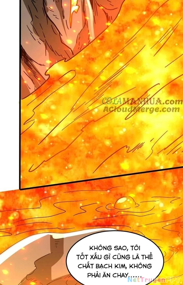 Linh Khí Khôi Phục: Ta Mỗi Ngày Thu Được Một Cái Kỹ Năng Mới Chapter 214 - 28