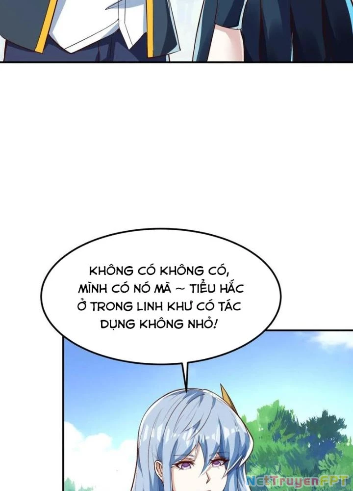 Linh Khí Khôi Phục: Ta Mỗi Ngày Thu Được Một Cái Kỹ Năng Mới Chapter 262 - 5