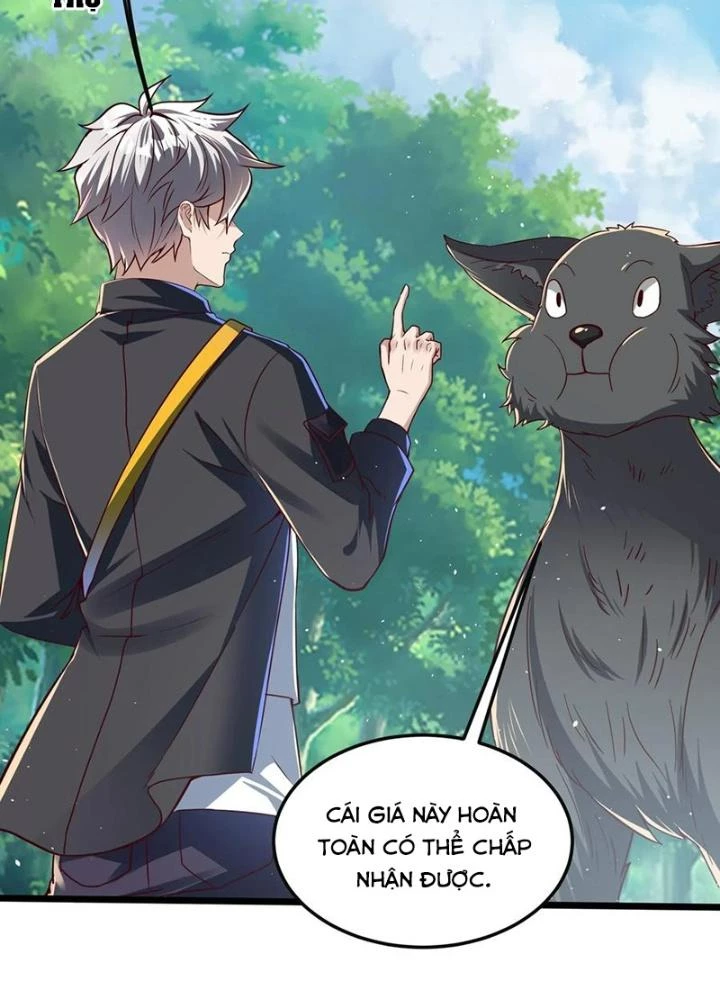 Linh Khí Khôi Phục: Ta Mỗi Ngày Thu Được Một Cái Kỹ Năng Mới Chapter 283 - 9