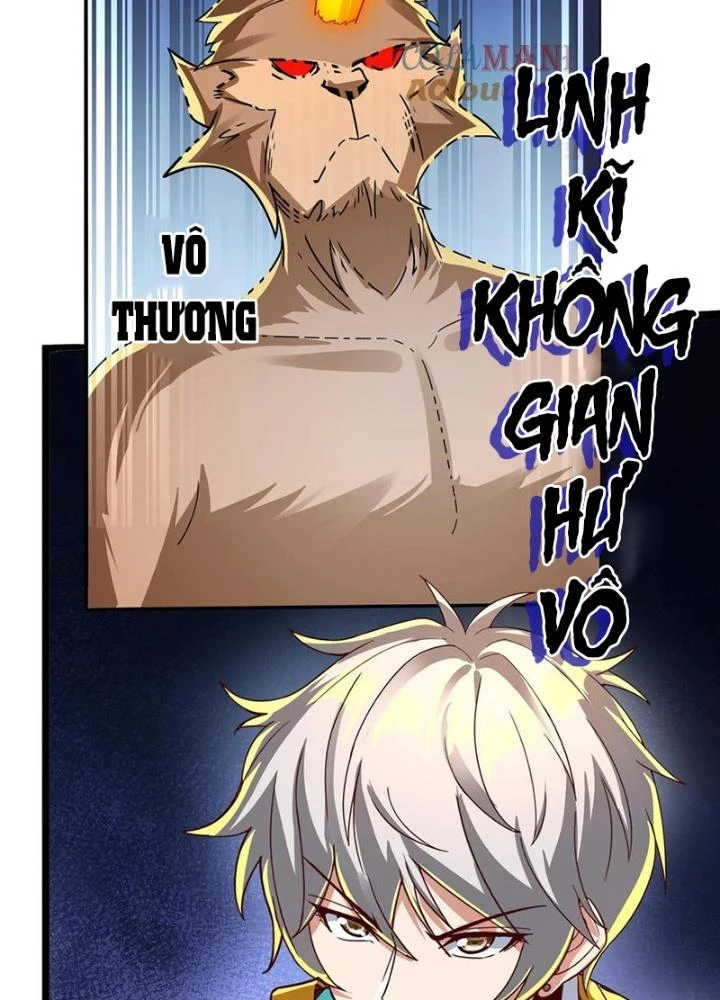 Linh Khí Khôi Phục: Ta Mỗi Ngày Thu Được Một Cái Kỹ Năng Mới Chapter 288 - 117