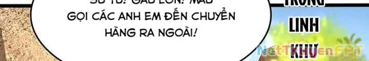 Linh Khí Khôi Phục: Ta Mỗi Ngày Thu Được Một Cái Kỹ Năng Mới Chapter 293 - 6